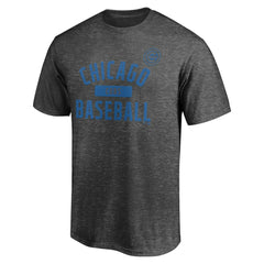 Chicago Cubs Team Primary Pill T-Shirt - MLB T-shirts