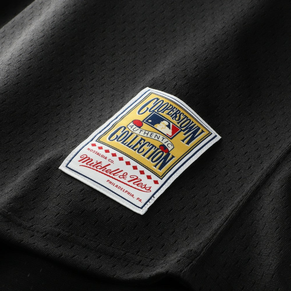 Craig Biggio Houston Astros Mitchell & Ness Authentic Batting Practice Jersey - MLB Jerseys
