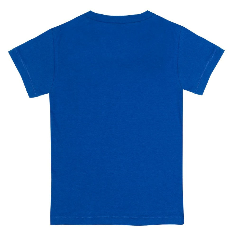 Chicago Cubs Tiny Turnip Youth Stega T-Shirt - MLB T-shirts
