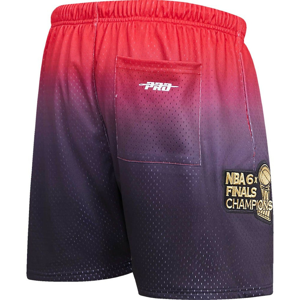 Black/Red Chicago Bulls Pro Standard Ombre Mesh Shorts | NBA
