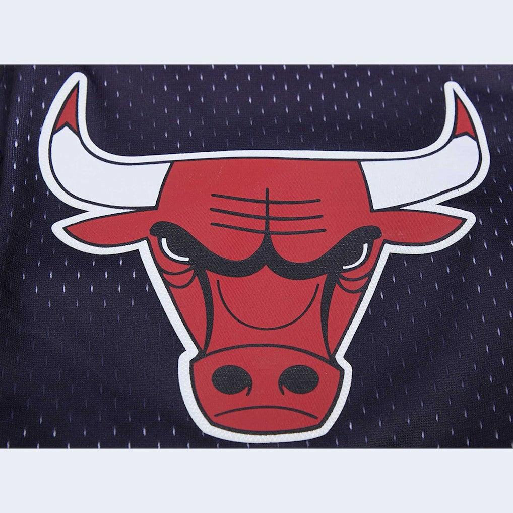 Black/Red Chicago Bulls Pro Standard Ombre Mesh Shorts | NBA
