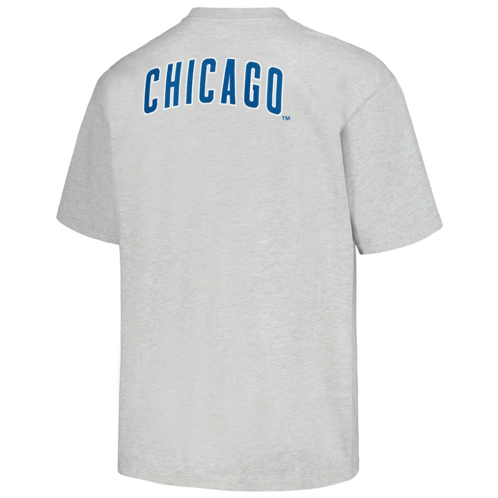 Chicago Cubs PLEASURES Mascot T-Shirt - MLB T-shirts