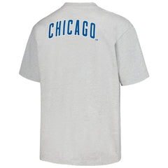 Chicago Cubs PLEASURES Mascot T-Shirt - MLB T-shirts