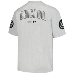 Chicago Cubs PLEASURES Team T-Shirt - MLB T-shirts