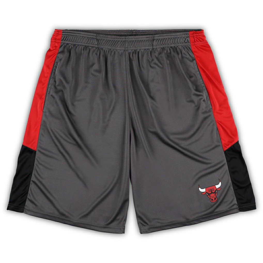 Gray Chicago Bulls Big & Tall Shorts | NBA
