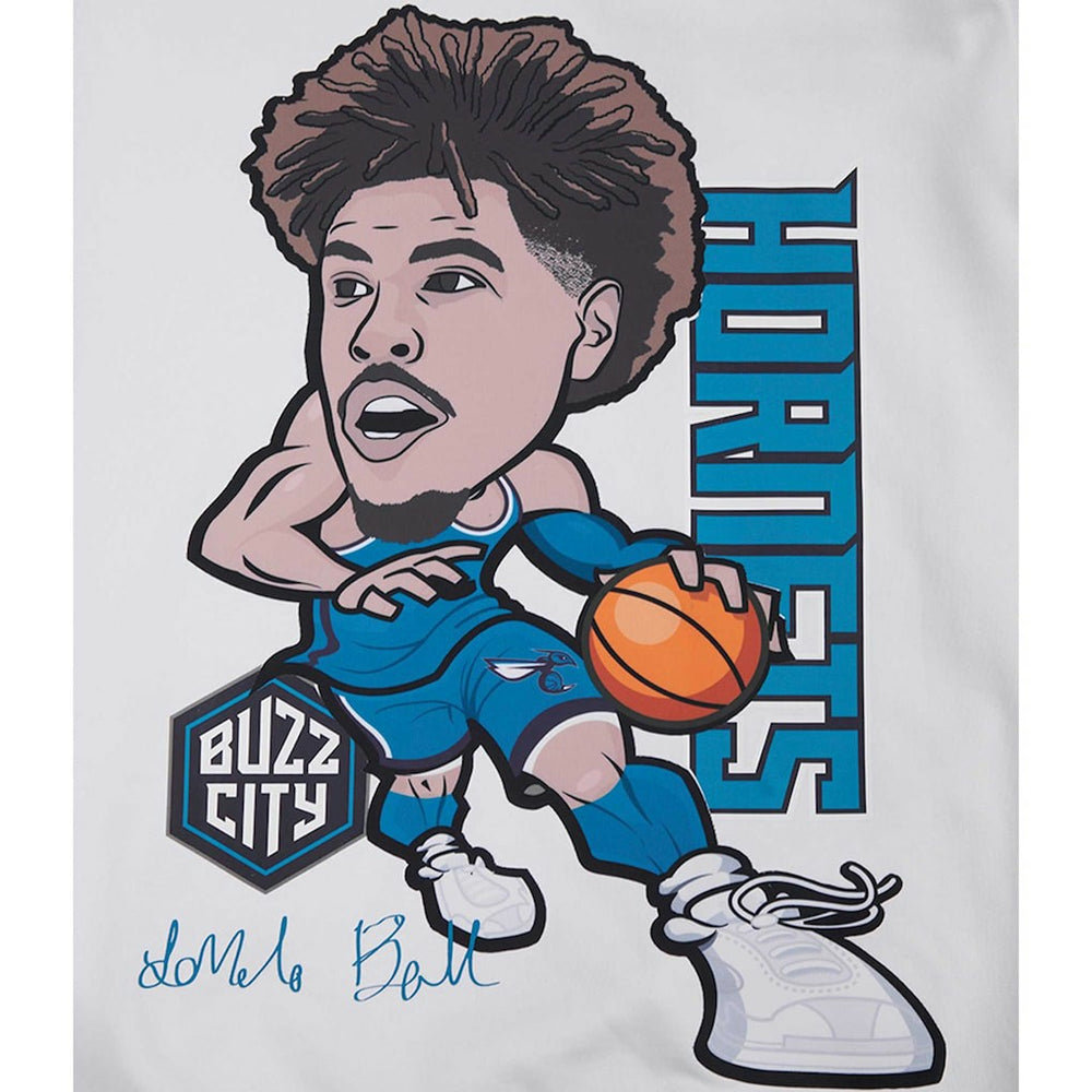 White LaMelo Ball Charlotte Hornets Pro Standard Avatar Pullover Sweatshirt | NBA