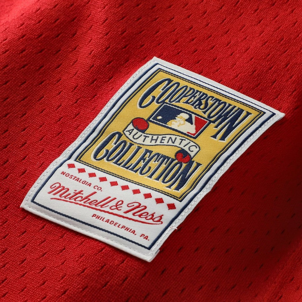 Johnny Bench Cincinnati Reds Mitchell & Ness Authentic Batting Practice Jersey - MLB Jerseys