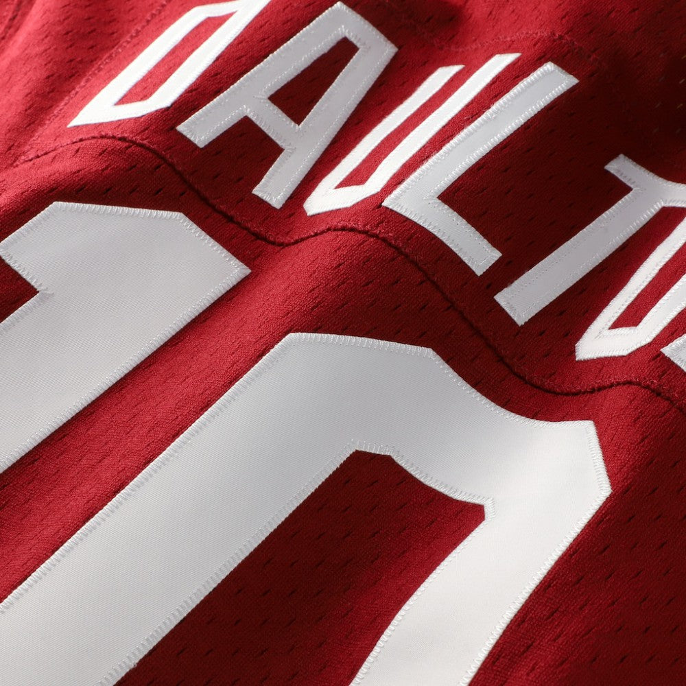 Darren Daulton Philadelphia Phillies Mitchell & Ness Authentic Batting Practice Jersey - MLB Jerseys