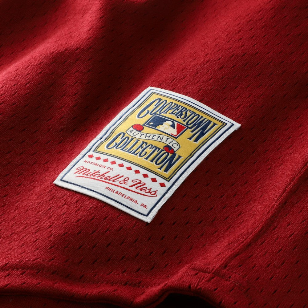 Darren Daulton Philadelphia Phillies Mitchell & Ness Authentic Batting Practice Jersey - MLB Jerseys