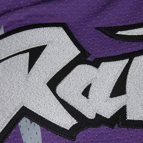 Purple  Vince Carter Toronto Raptors 1998/99 Throwback Authentic Jersey | NBA