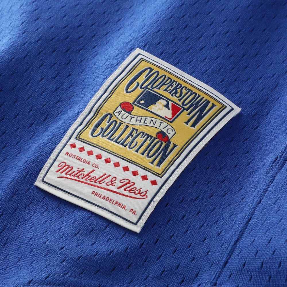 Nolan Ryan Texas Rangers Mitchell & Ness Authentic Batting Practice Jersey - MLB Jerseys