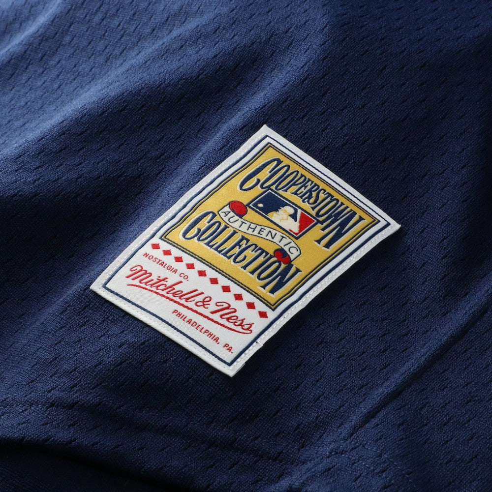 Craig Biggio Houston Astros Mitchell & Ness Authentic Batting Practice Jersey - MLB Jerseys