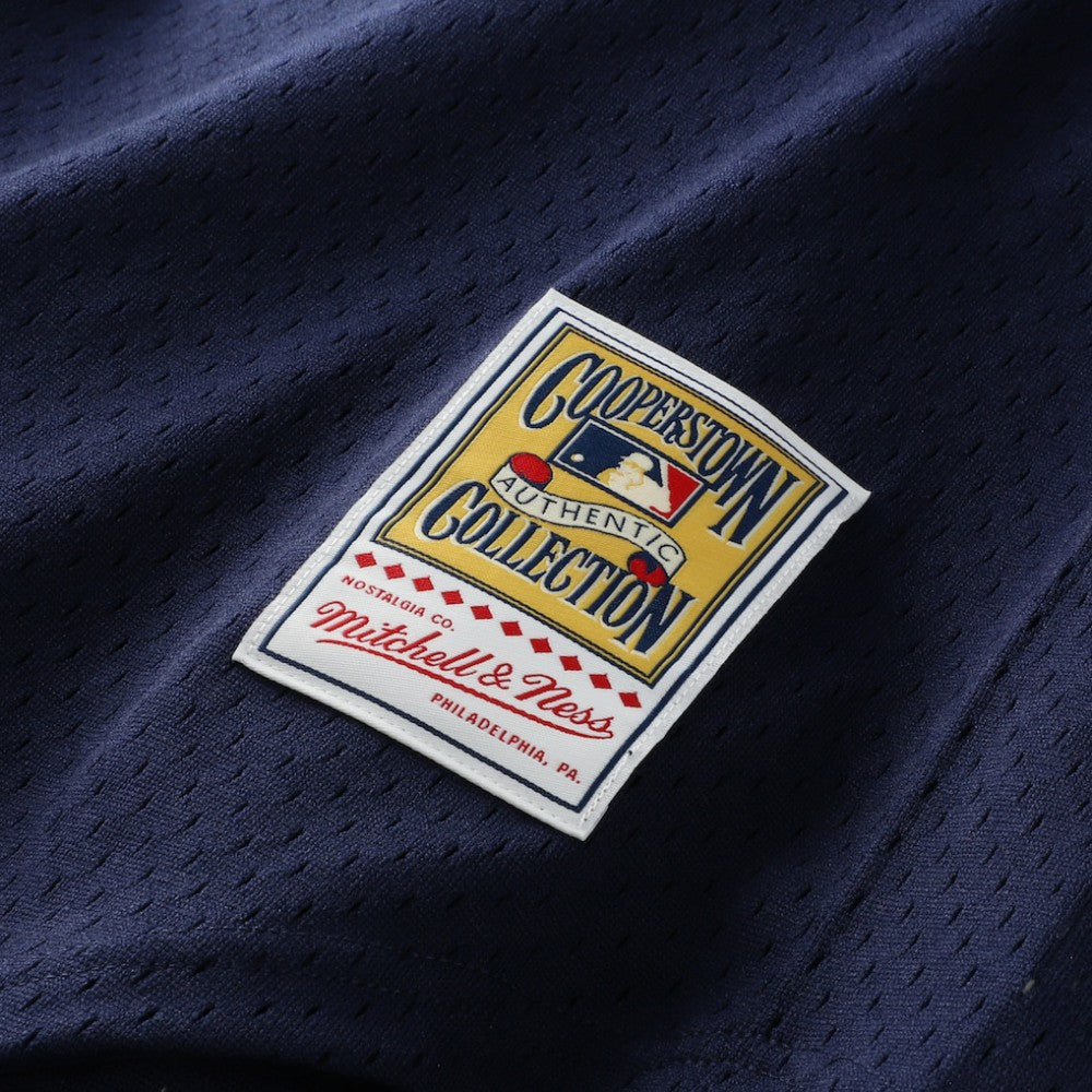 Alan Trammell Detroit Tigers Mitchell & Ness Authentic Batting Practice Jersey - MLB Jerseys