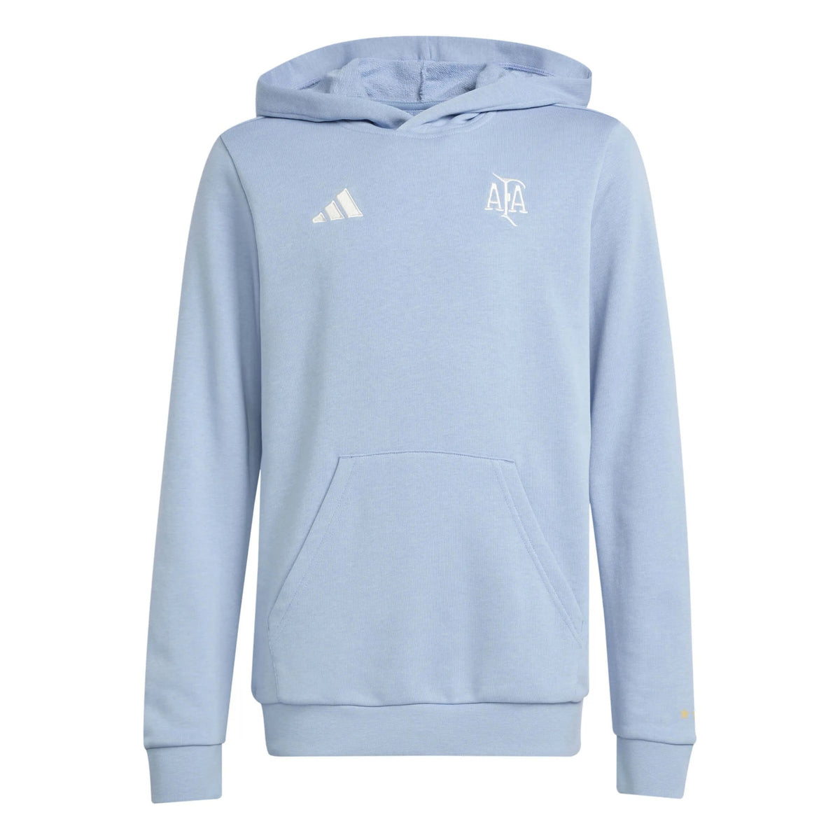 Argentina 2025-26  Youth Anniversary DNA Soccer Hoodie