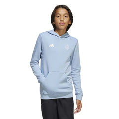 Argentina 2025-26  Youth Anniversary DNA Soccer Hoodie