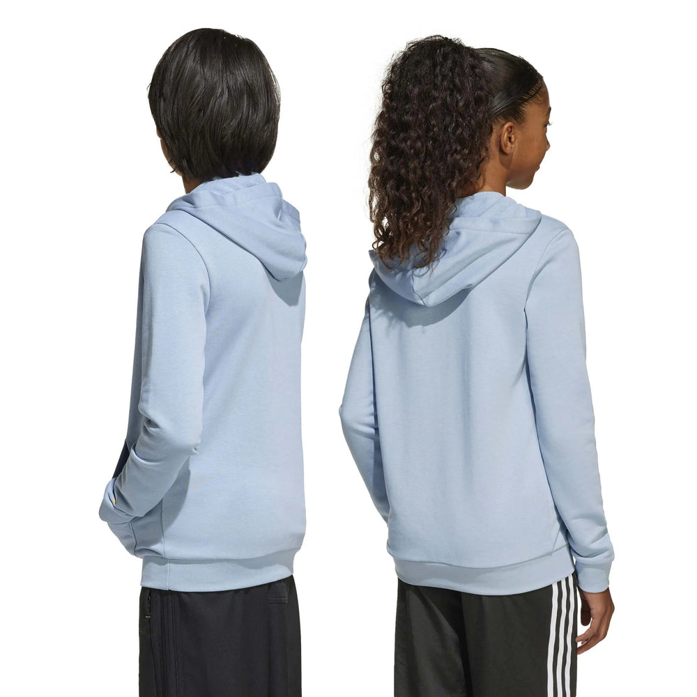 Argentina 2025-26  Youth Anniversary DNA Soccer Hoodie