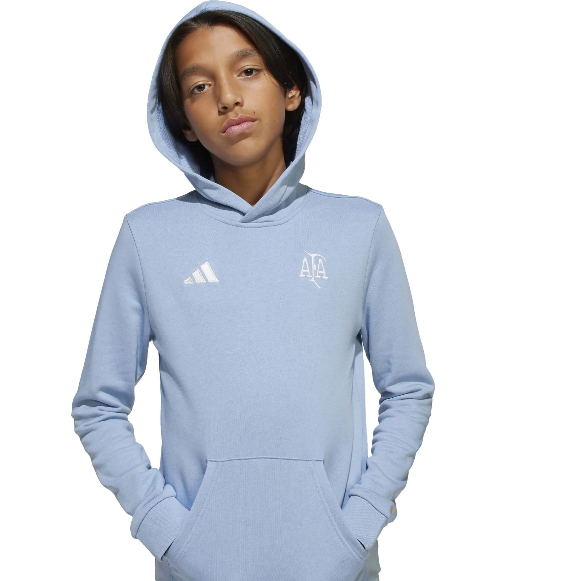 Argentina 2025-26  Youth Anniversary DNA Soccer Hoodie