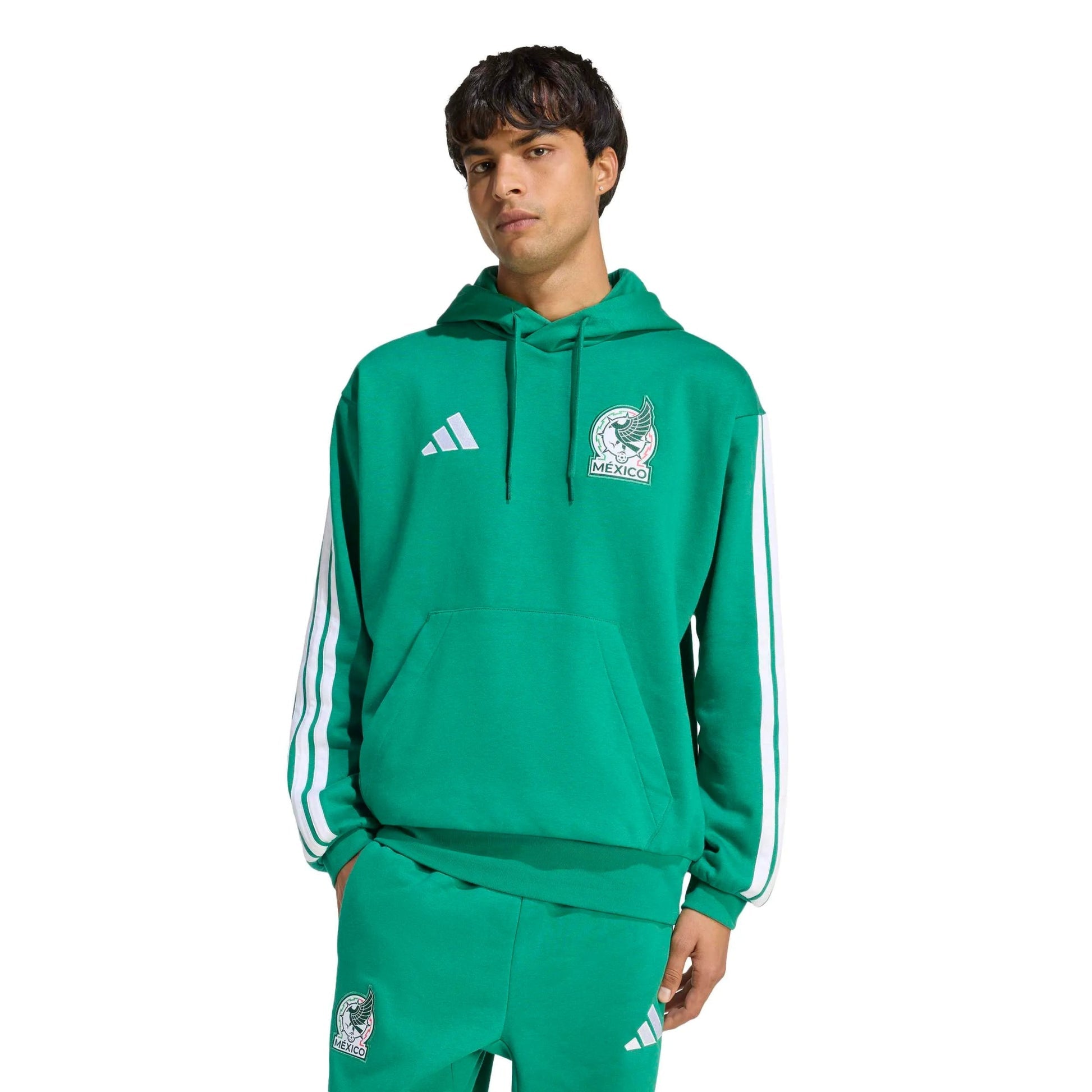 Mexico 2026  Men's DNA Hoodie
