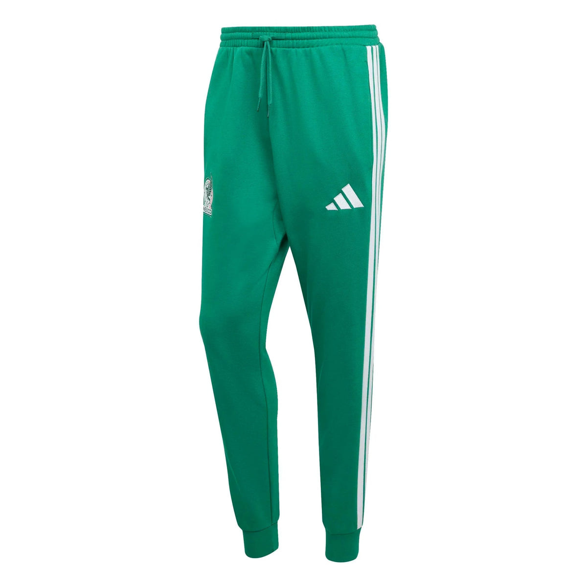 Mexico 2026  Men's DNA Pants