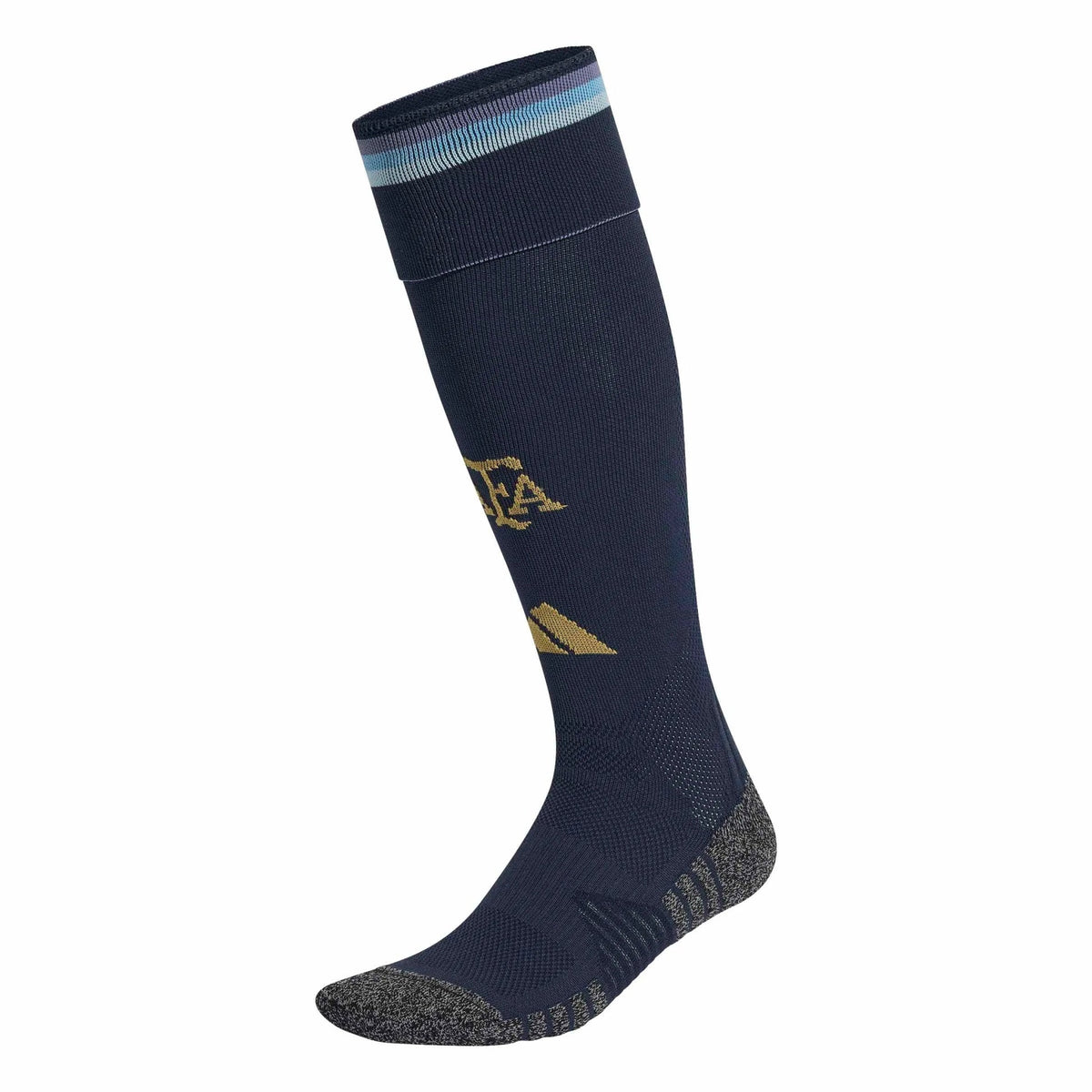 Argentina 2026  Home Socks