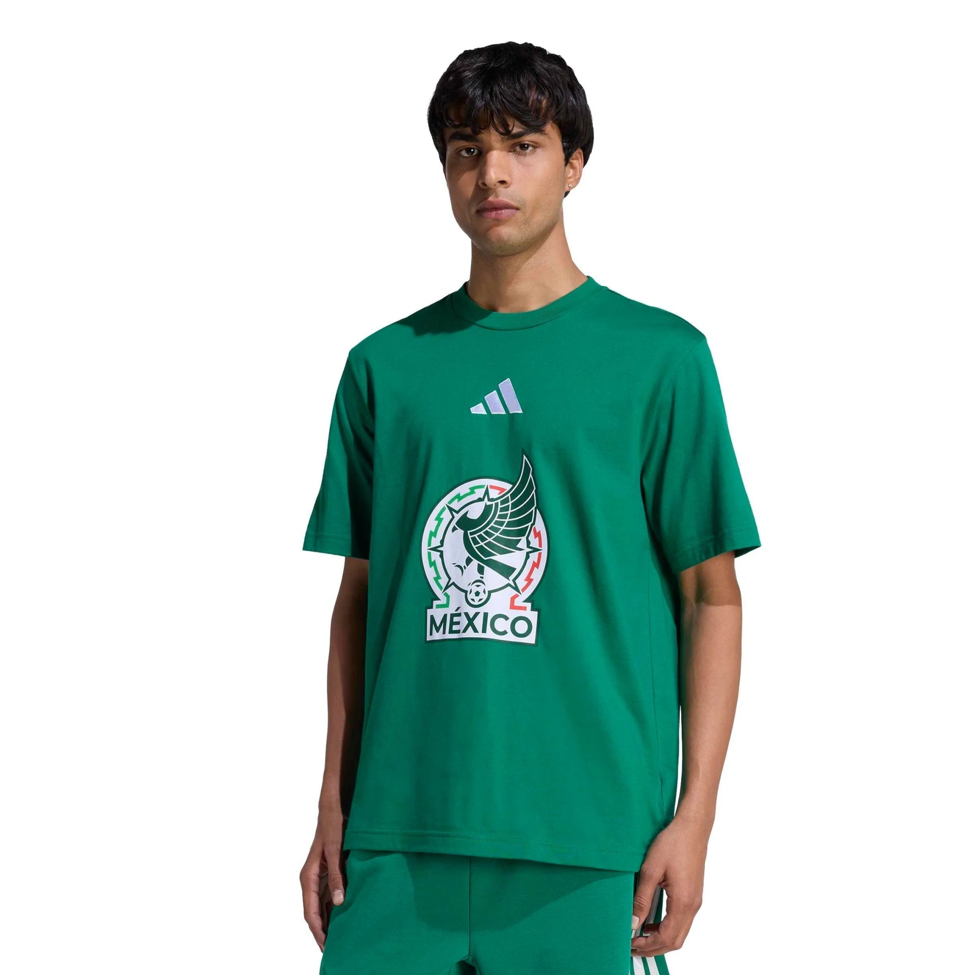 Mexico 2026  Men's DNA Graphic Tee