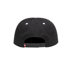 USA Fan Ink Collection  Bankroll Snapback Hat